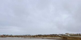 Ministerio del Medio Ambiente extiende plazo de Consulta Pública para definir sitios prioritarios para la conservación