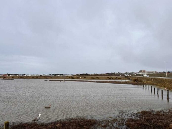 Ministerio del Medio Ambiente extiende plazo de Consulta Pública para definir sitios prioritarios para la conservación