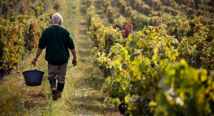 Modelos de Negocios verdes y su contribución a ventajas competitivas