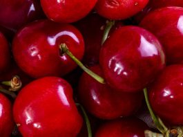 Moderno packing de cerezas en San Nicolás generará 420 empleos