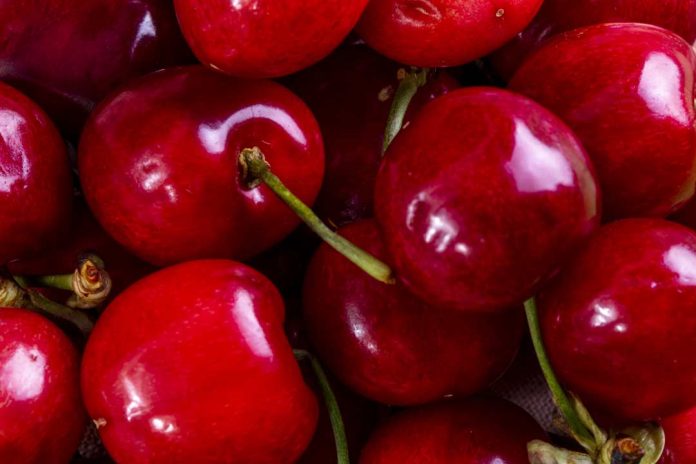 Moderno packing de cerezas en San Nicolás generará 420 empleos