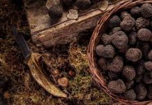 Nace la Asociación de Truficultores Europeos con productores de España, Francia e Italia