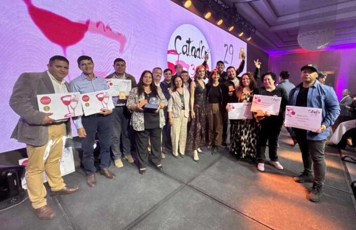 Ñuble brilla en Catad’Or 2025: Viña Doña Elita obtiene Gran Oro y otras 10 viñas familiares campesinas logran 14 medallas de oro