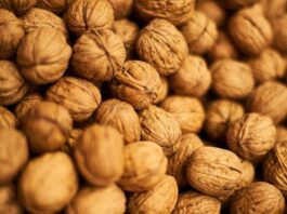 Chilenut aterriza en España: campaña de humor y bienestar para convertir a la nuez chilena en el snack del día a día Nuez chilena en el snack del día a día