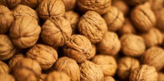 Chilenut aterriza en España: campaña de humor y bienestar para convertir a la nuez chilena en el snack del día a día Nuez chilena en el snack del día a día