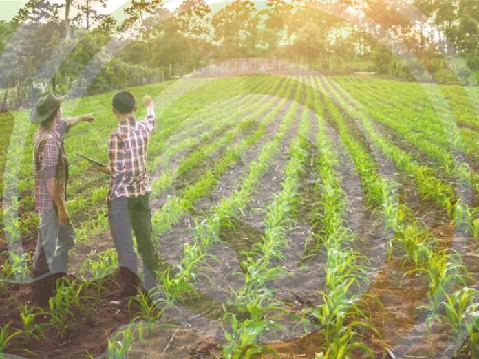 OCDE Políticas Agrícolas 2025