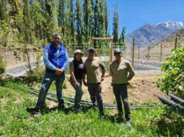 Pequeña agricultora de Tulahuén mejora eficiencia hídrica gracias a proyecto bonificado por la CNR