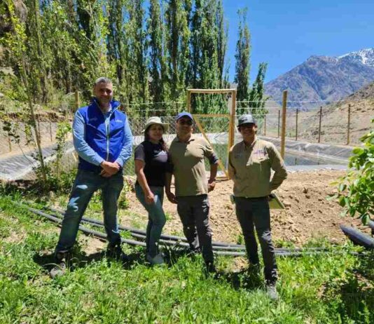 Pequeña agricultora de Tulahuén mejora eficiencia hídrica gracias a proyecto bonificado por la CNR