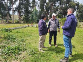 Pequeños regantes del canal Mincha Sur Arriba mejoran el riego de sus cultivos con nuevas obras de revestimiento