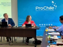 ProChile expone en Mesa Comex del Maule balance de actividades internacionales financiadas por el FNDR