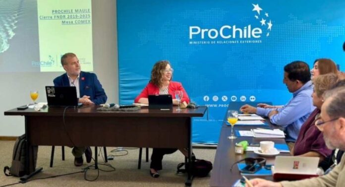 ProChile expone en Mesa Comex del Maule balance de actividades internacionales financiadas por el FNDR