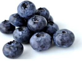 Perú: Proarándanos ajusta volúmenes de envíos y prevé temporada más corta