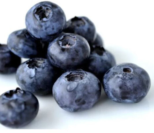 Perú: Proarándanos ajusta volúmenes de envíos y prevé temporada más corta Perú: Proarándanos ajusta volúmenes de envíos y prevé temporada más corta