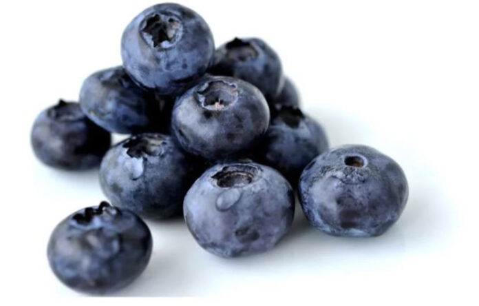 Perú: Proarándanos ajusta volúmenes de envíos y prevé temporada más corta