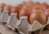 Producción de huevos de consumo aumentó 6,1% en septiembre Producción de huevos de consumo aumentó 6,1% en septiembre