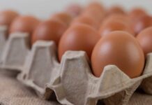 Producción de huevos de consumo aumentó 6,1% en septiembre Producción de huevos de consumo aumentó 6,1% en septiembre
