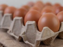 Producción de huevos de consumo aumentó 6,1% en septiembre Producción de huevos de consumo aumentó 6,1% en septiembre