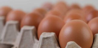 Producción de huevos de consumo aumentó 6,1% en septiembre Producción de huevos de consumo aumentó 6,1% en septiembre