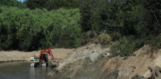 REALIZAN LIMPIEZA DE 12 KILÓMETROS EN RÍO ANDALIÉN REALIZAN LIMPIEZA DE 12 KILÓMETROS EN RÍO ANDALIÉN