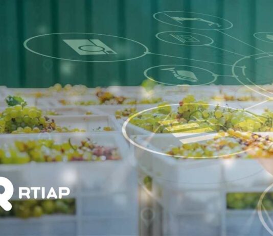 Desafíos de automatización de termometría y digitalización de procesos de pre-frío en packing de uvas: una ventaja competitiva vital Desafíos de automatización de termometría y digitalización de procesos de pre-frío en packing de uvas: una ventaja competitiva vital