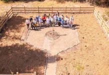 Región de O’Higgins impulsa su apicultura con laboratorio apícola y apiario demostrativo Región de O’Higgins impulsa su apicultura con laboratorio apícola y apiario demostrativo