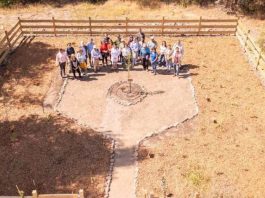 Región de O’Higgins impulsa su apicultura con laboratorio apícola y apiario demostrativo Región de O’Higgins impulsa su apicultura con laboratorio apícola y apiario demostrativo