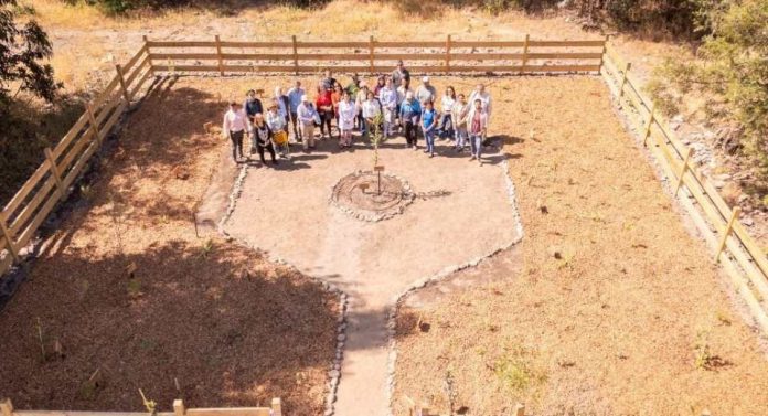 Región de O’Higgins impulsa su apicultura con laboratorio apícola y apiario demostrativo Región de O’Higgins impulsa su apicultura con laboratorio apícola y apiario demostrativo