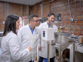 Resultados red internacional de investigación en tratamientos de aguas grises