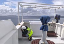 SAG Bio Bio no ha detectado presencia de plaga Lymantria dispar a bordo de buques en 328 días de 2025