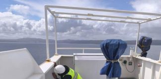 SAG Bio Bio no ha detectado presencia de plaga Lymantria dispar a bordo de buques en 328 días de 2025