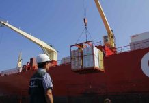 Chile y Japón inician marcha blanca para implementar certificación fitosanitaria electrónica