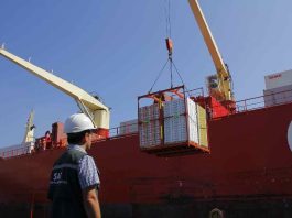 Chile y Japón inician marcha blanca para implementar certificación fitosanitaria electrónica