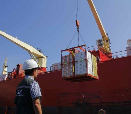 Chile y Japón inician marcha blanca para implementar certificación fitosanitaria electrónica