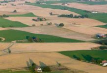 SAG Ñuble recibe la primera solicitud bajo modalidad de Terceros Autorizados