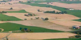 SAG Ñuble recibe la primera solicitud bajo modalidad de Terceros Autorizados