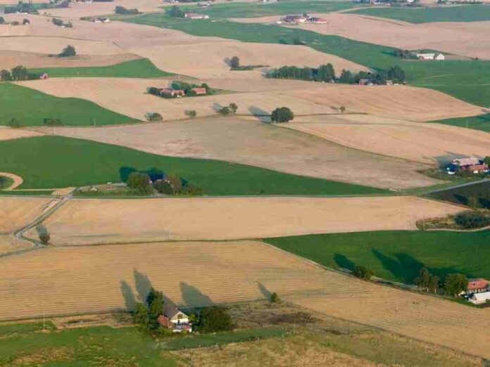 SAG Ñuble recibe la primera solicitud bajo modalidad de Terceros Autorizados SAG Ñuble recibe la primera solicitud bajo modalidad de Terceros Autorizados
