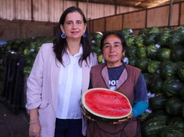 Ministra de Agricultura destaca la labor del SAG y otros organismos del Estado para combatir el ingreso ilegal de productos silvoagropecuarios en la región de Arica Ministra de Agricultura destaca la labor del SAG y otros organismos del Estado para combatir el ingreso ilegal de productos silvoagropecuarios en la región de Arica