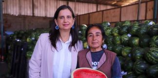 Ministra de Agricultura destaca la labor del SAG y otros organismos del Estado para combatir el ingreso ilegal de productos silvoagropecuarios en la región de Arica Ministra de Agricultura destaca la labor del SAG y otros organismos del Estado para combatir el ingreso ilegal de productos silvoagropecuarios en la región de Arica