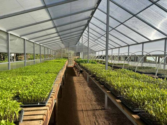 SAG llama a realizar la declaración anual de Hortalizas