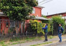 SAG realiza vigilancia de mosca de la fruta en la Región de Ñuble.