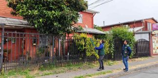 SAG realiza vigilancia de mosca de la fruta en la Región de Ñuble.