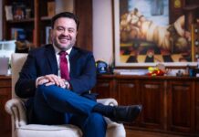 SIMEF: 10 años democratizando información para los bosques nativos SIMEF: 10 años democratizando información para los bosques nativos