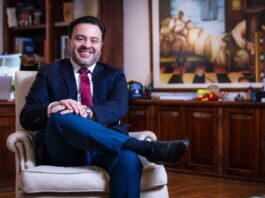 SIMEF: 10 años democratizando información para los bosques nativos