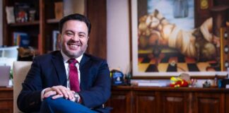 SIMEF: 10 años democratizando información para los bosques nativos