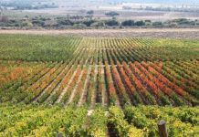 SNA y Pensar Agro articulan una hoja de ruta común para fortalecer al sector agrícola