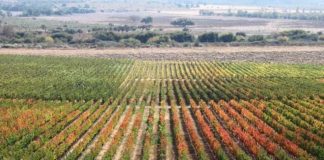 SNA y Pensar Agro articulan una hoja de ruta común para fortalecer al sector agrícola