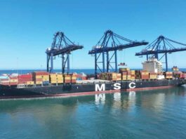 STI atiende primer Cherry express de la temporada y da la bienvenida al servicio Alpaca