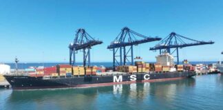 STI atiende primer Cherry express de la temporada y da la bienvenida al servicio Alpaca