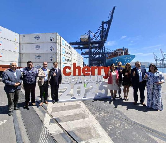 STI y Frutas de Chile dan inicio a la temporada de cerezas 2026 con la mayor cantidad de servicios directos hacia Asia