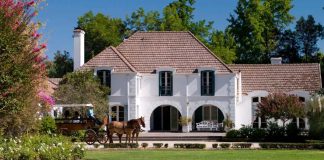 Seis bodegas chilenas triunfan en el ranking The World’s 50 Best Vineyards 2025 Awards